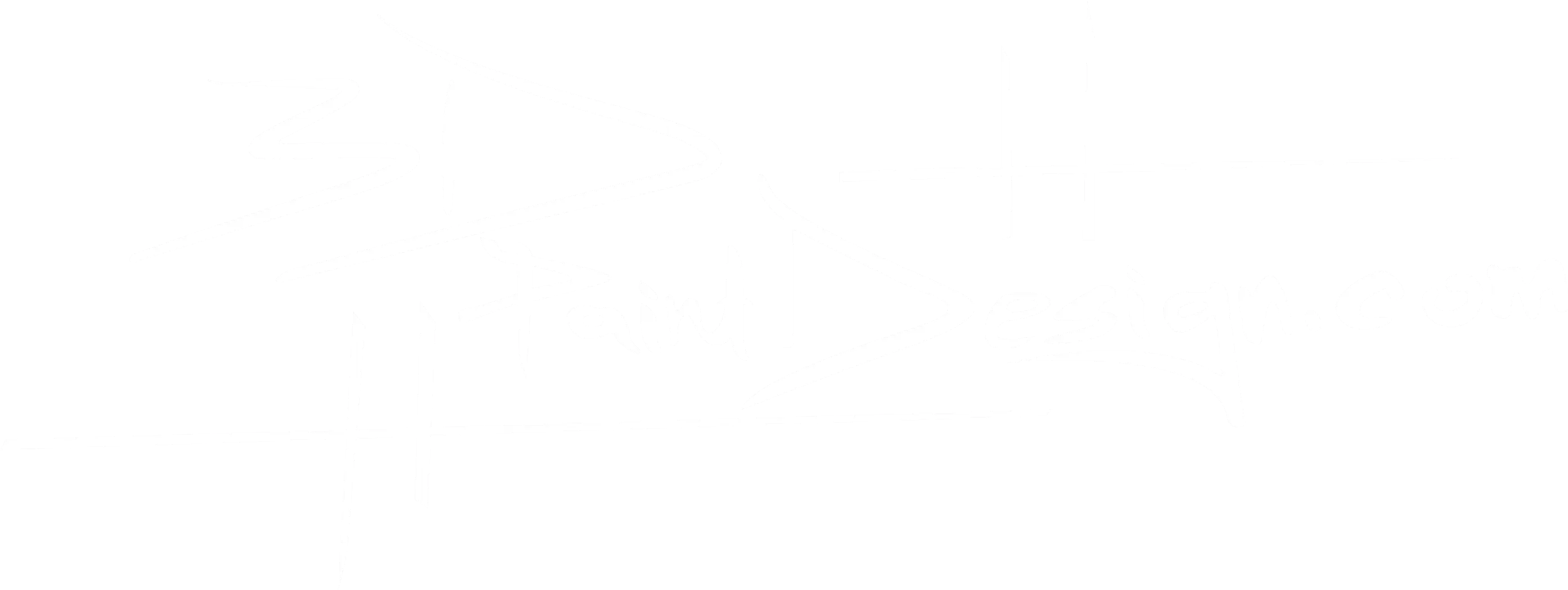 3DPaintDesign - aircraft paint design service